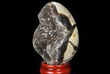 Septarian Dragon Egg Geode - Black Crystals #83193-1